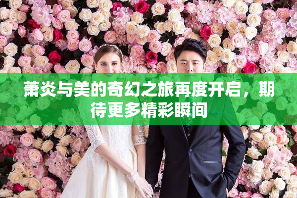 萧炎与美的奇幻之旅再度开启，期待更多精彩瞬间
