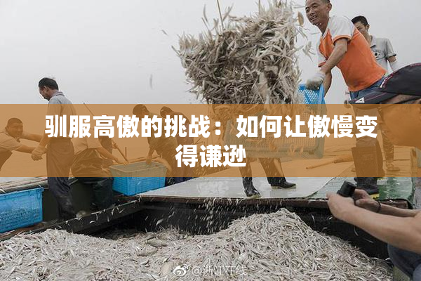 驯服高傲的挑战：如何让傲慢变得谦逊