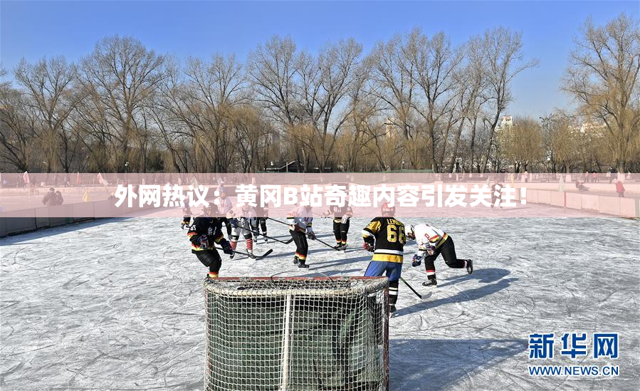 外网热议：黄冈B站奇趣内容引发关注！