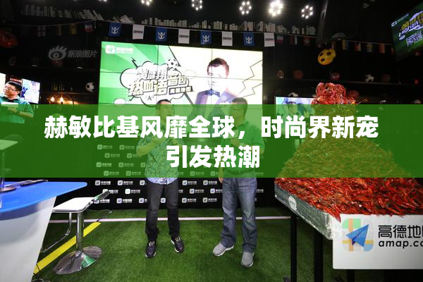 赫敏比基风靡全球，时尚界新宠引发热潮