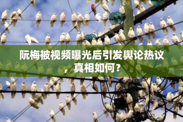 阮梅被视频曝光后引发舆论热议，真相如何？