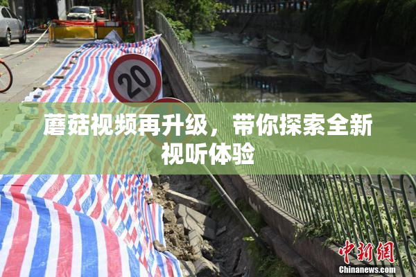 蘑菇视频再升级，带你探索全新视听体验