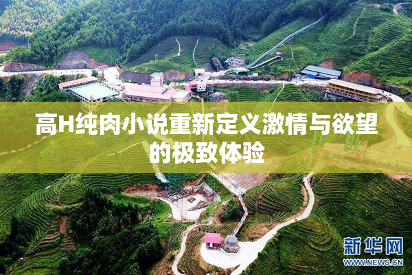 高H纯肉小说重新定义激情与欲望的极致体验