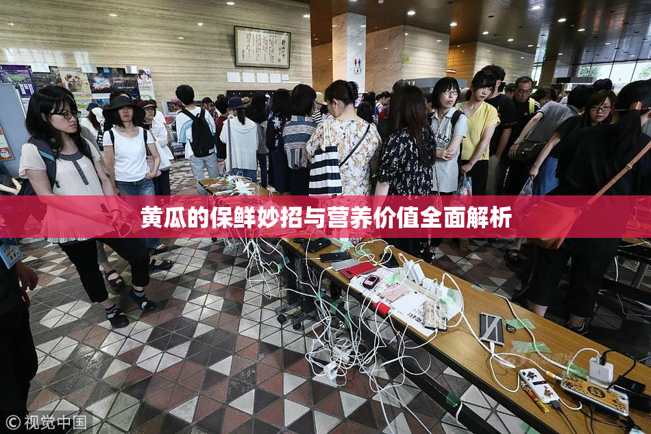 黄瓜的保鲜妙招与营养价值全面解析
