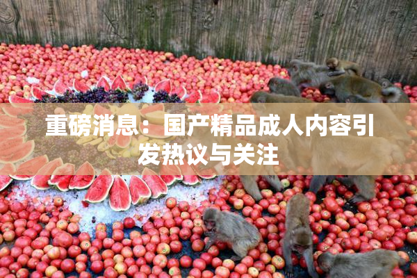 重磅消息：国产精品成人内容引发热议与关注