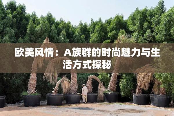欧美风情：A族群的时尚魅力与生活方式探秘