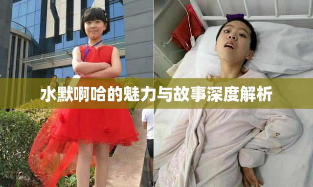 水默啊哈的魅力与故事深度解析