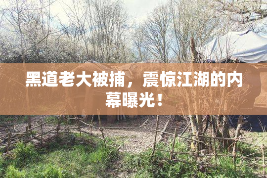 黑道老大被捕，震惊江湖的内幕曝光！