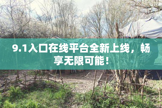 9.1入口在线平台全新上线，畅享无限可能！