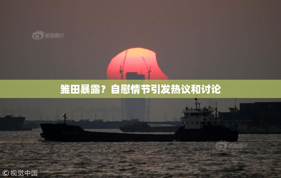 雏田暴露？自慰情节引发热议和讨论