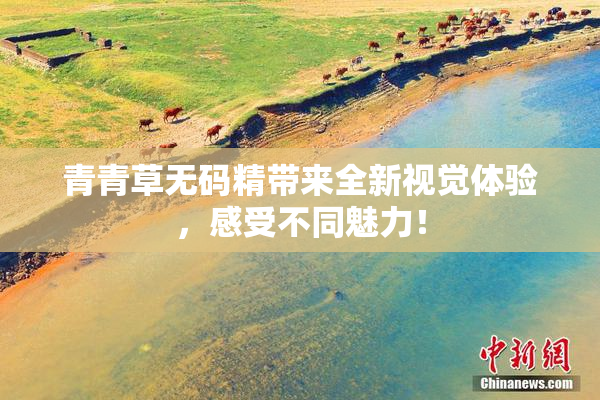 青青草无码精带来全新视觉体验，感受不同魅力！