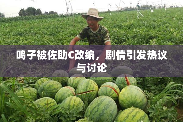 鸣子被佐助C改编，剧情引发热议与讨论