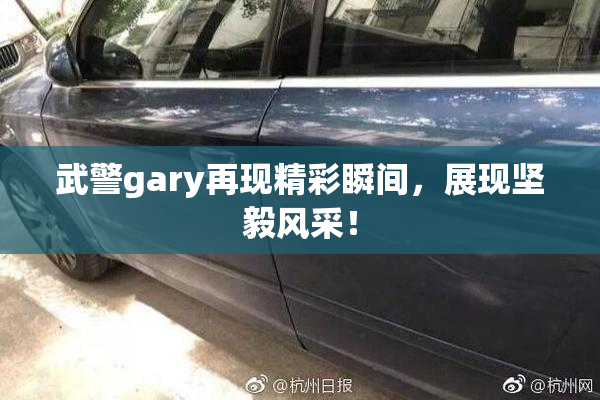 武警gary再现精彩瞬间，展现坚毅风采！
