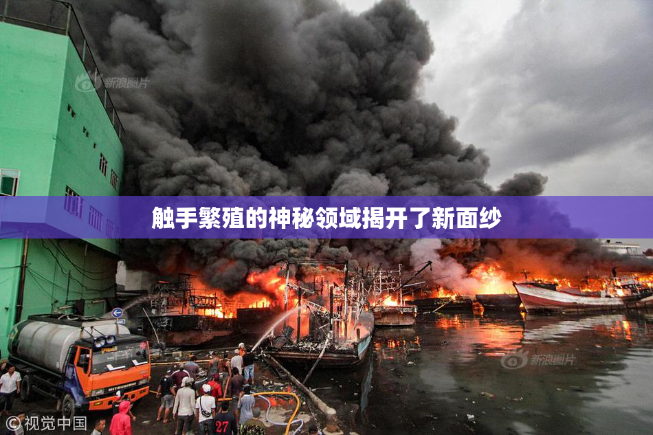 触手繁殖的神秘领域揭开了新面纱