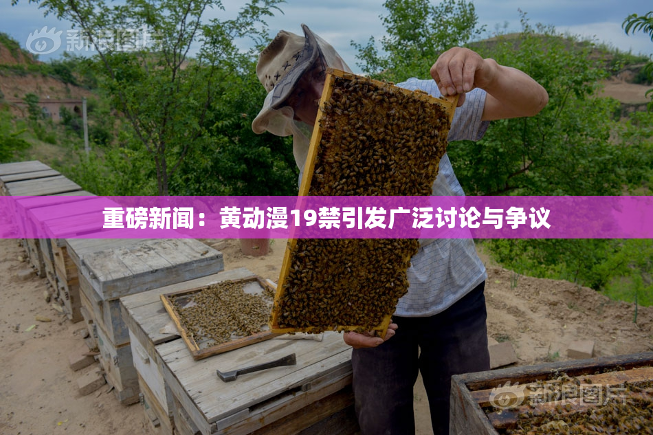 重磅新闻：黄动漫19禁引发广泛讨论与争议