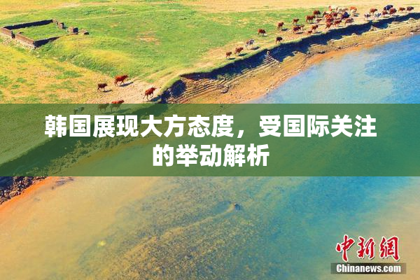 韩国展现大方态度，受国际关注的举动解析