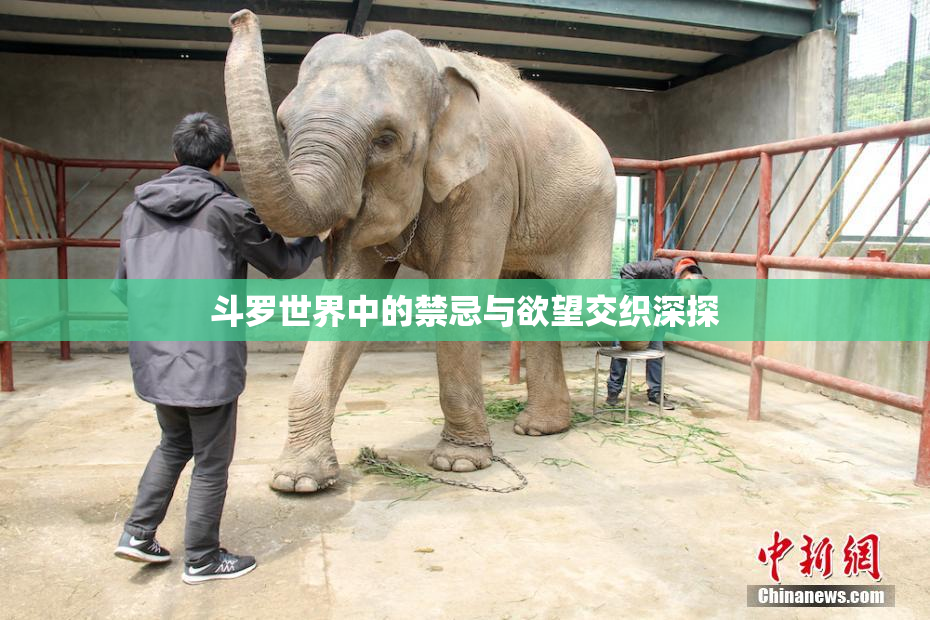 斗罗世界中的禁忌与欲望交织深探