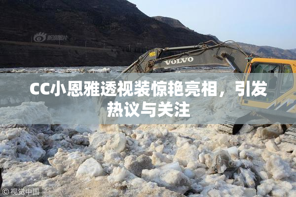 CC小恩雅透视装惊艳亮相，引发热议与关注