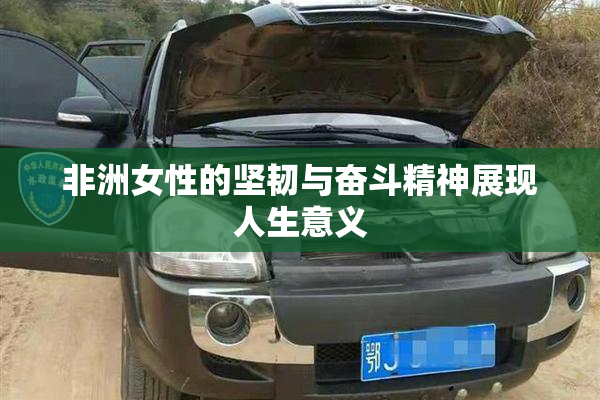 非洲女性的坚韧与奋斗精神展现人生意义