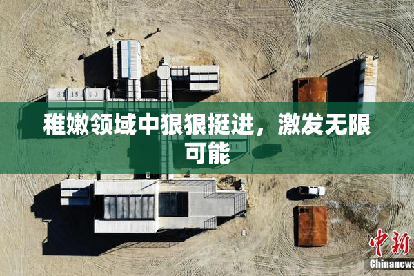 稚嫩领域中狠狠挺进，激发无限可能