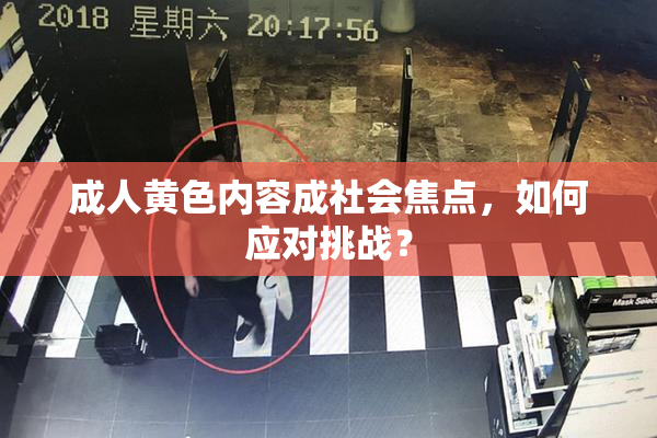 成人黄色内容成社会焦点，如何应对挑战？