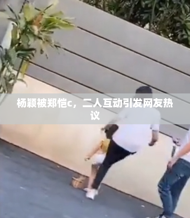 杨颖被郑恺c，二人互动引发网友热议