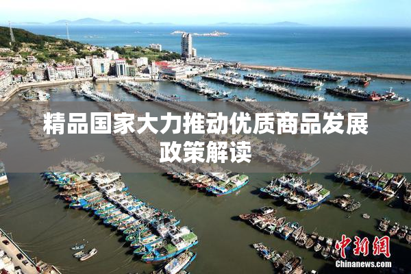 精品国家大力推动优质商品发展政策解读