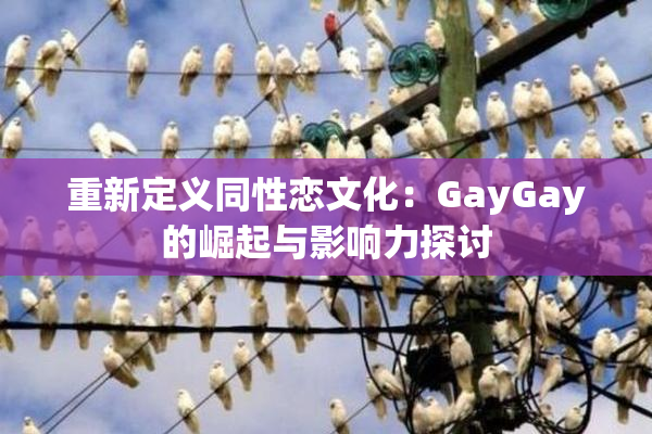 重新定义同性恋文化：GayGay的崛起与影响力探讨