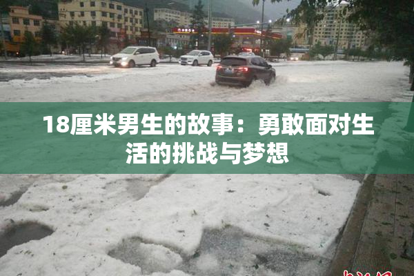 18厘米男生的故事：勇敢面对生活的挑战与梦想