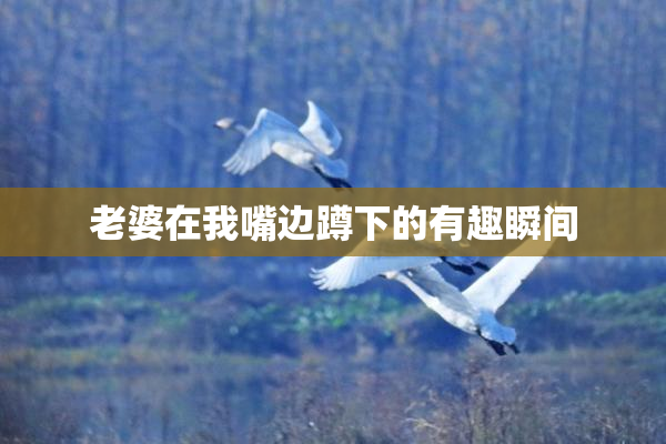 老婆在我嘴边蹲下的有趣瞬间