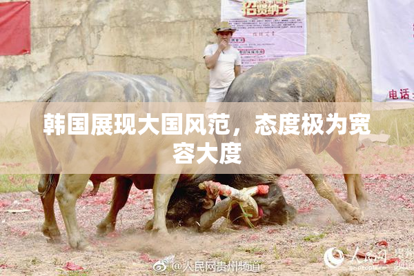 韩国展现大国风范，态度极为宽容大度