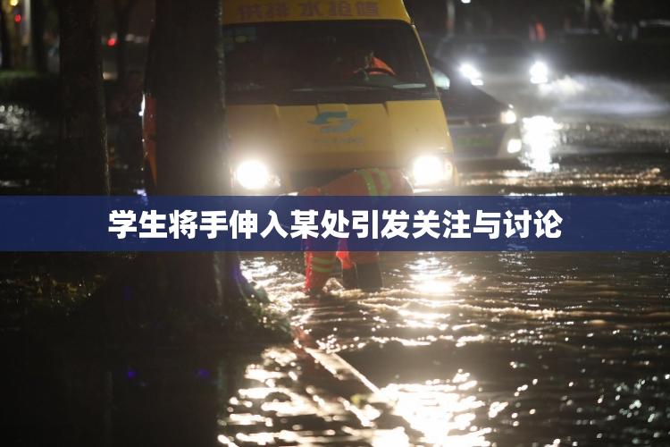 学生将手伸入某处引发关注与讨论