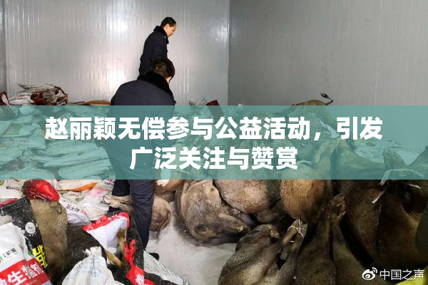 赵丽颖无偿参与公益活动，引发广泛关注与赞赏