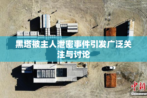 黑塔被主人泄密事件引发广泛关注与讨论