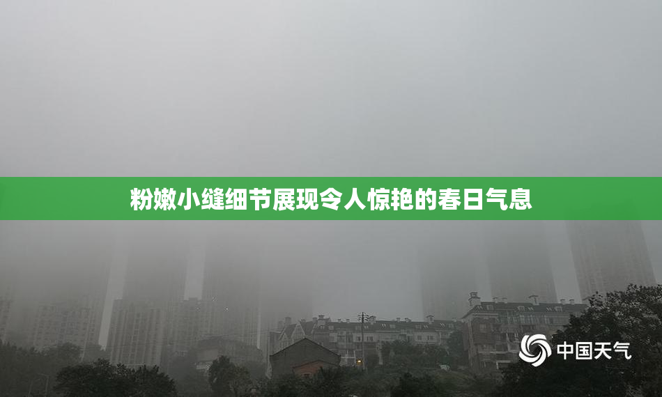 粉嫩小缝细节展现令人惊艳的春日气息
