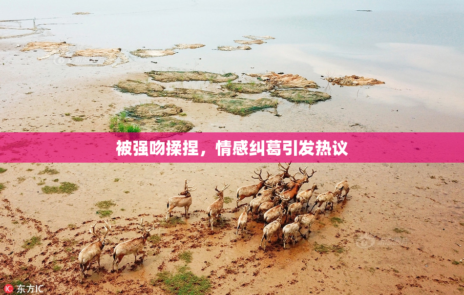 被强吻揉捏，情感纠葛引发热议
