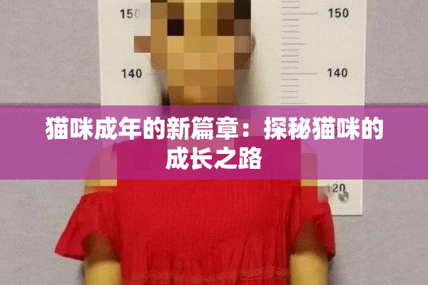 猫咪成年的新篇章：探秘猫咪的成长之路