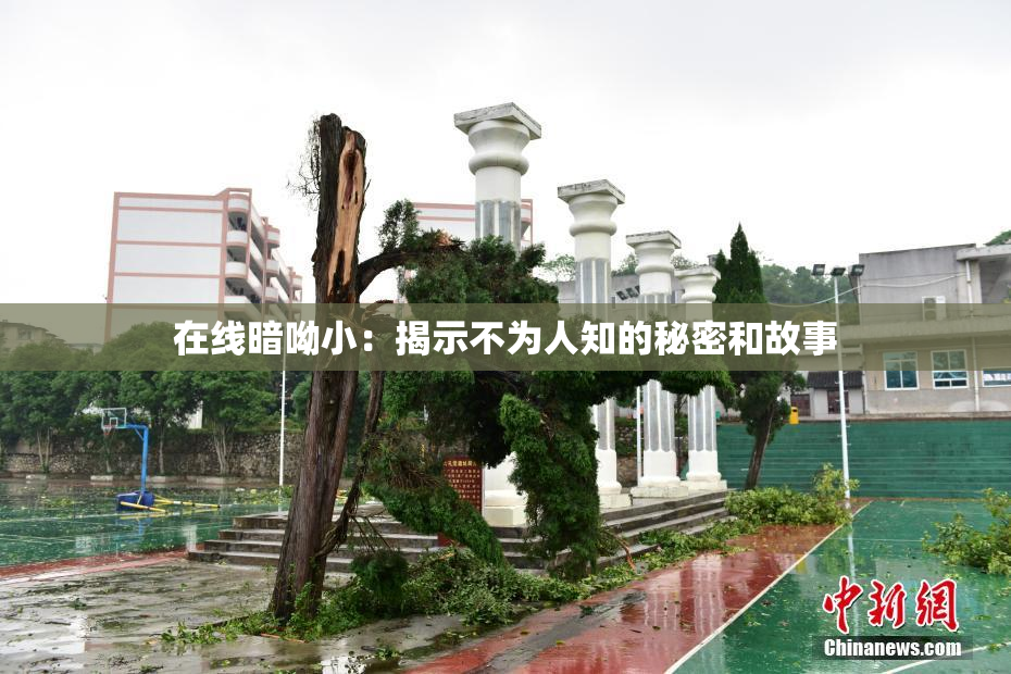 在线暗呦小：揭示不为人知的秘密和故事