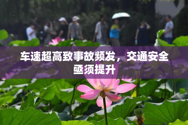 车速超高致事故频发，交通安全亟须提升