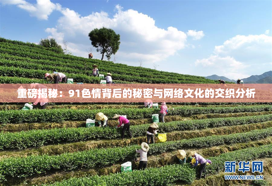 重磅揭秘：91色情背后的秘密与网络文化的交织分析