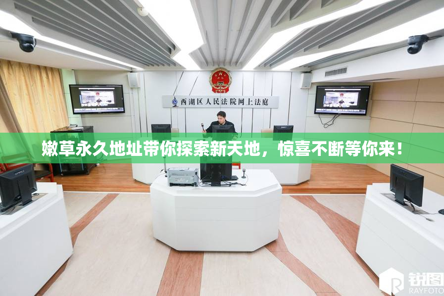嫩草永久地址带你探索新天地，惊喜不断等你来！