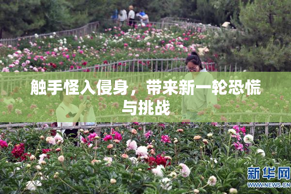 触手怪入侵身，带来新一轮恐慌与挑战