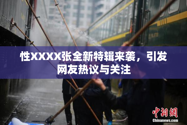 性XXXX张全新特辑来袭，引发网友热议与关注