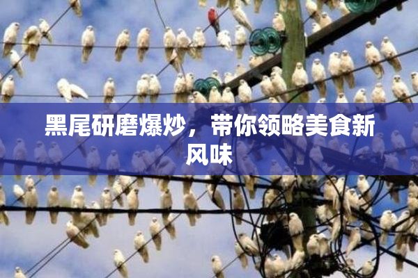 黑尾研磨爆炒，带你领略美食新风味