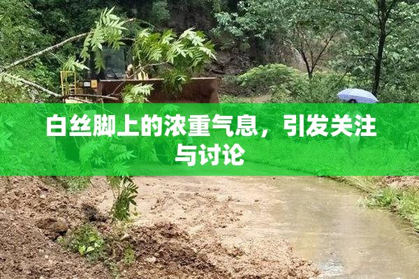 白丝脚上的浓重气息，引发关注与讨论