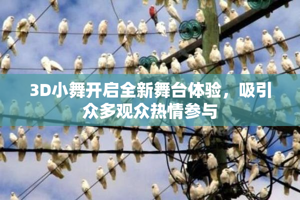 3D小舞开启全新舞台体验，吸引众多观众热情参与