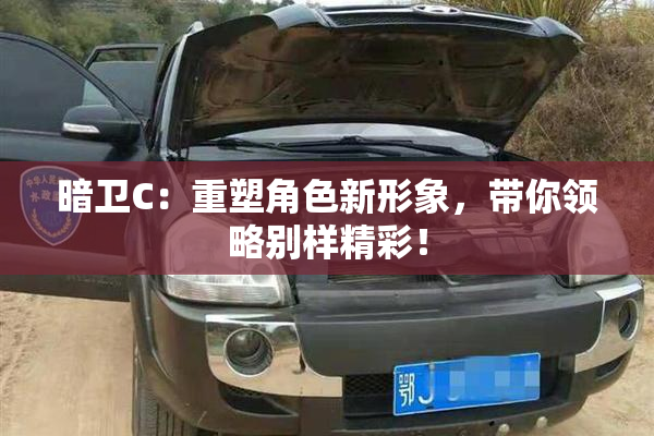 暗卫C：重塑角色新形象，带你领略别样精彩！