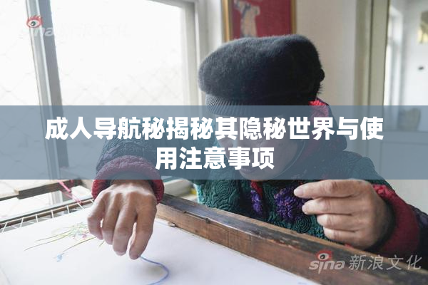 成人导航秘揭秘其隐秘世界与使用注意事项