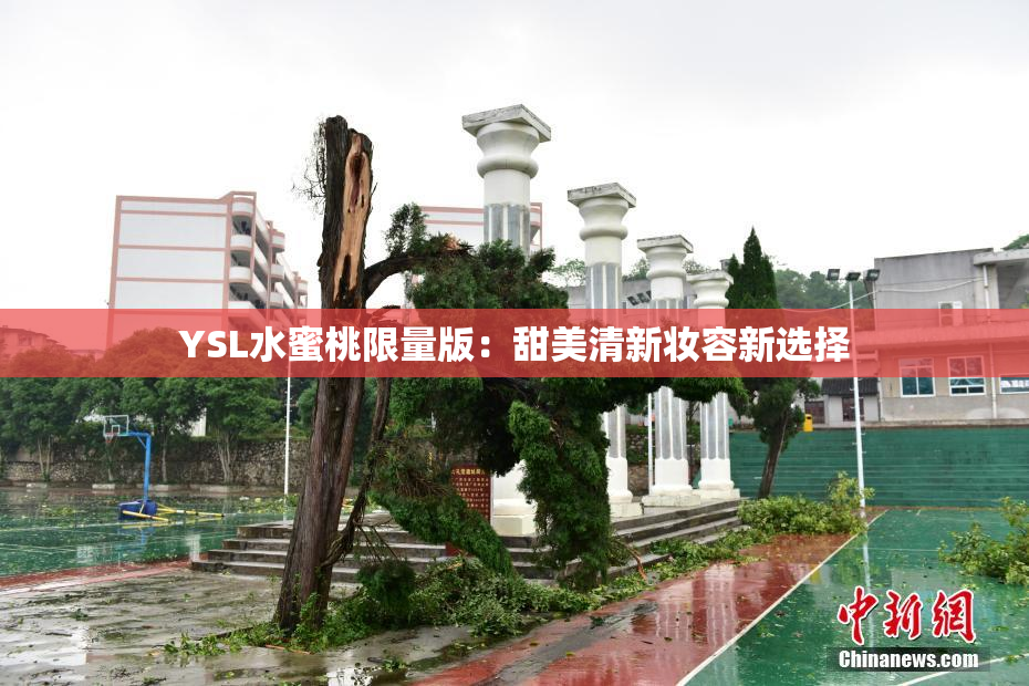 YSL水蜜桃限量版：甜美清新妆容新选择