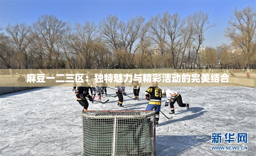 麻豆一二三区：独特魅力与精彩活动的完美结合